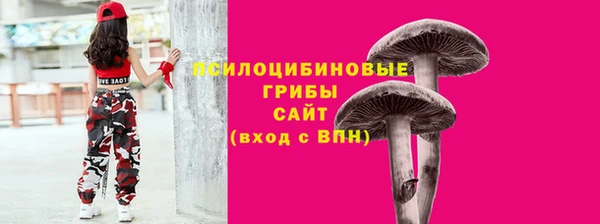 дмт Михайловск