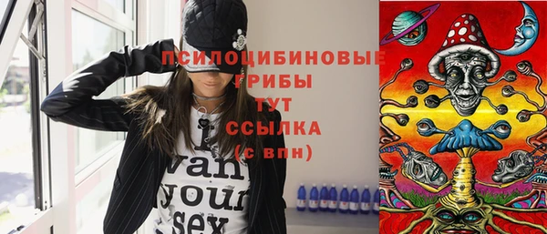 дмт Михайловск