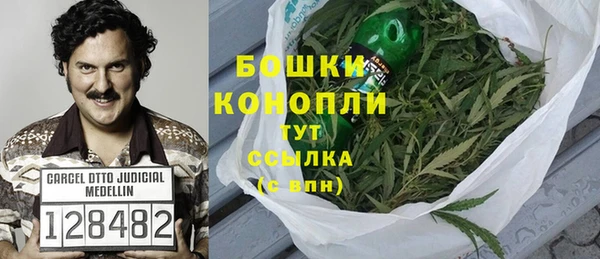 винт Нягань