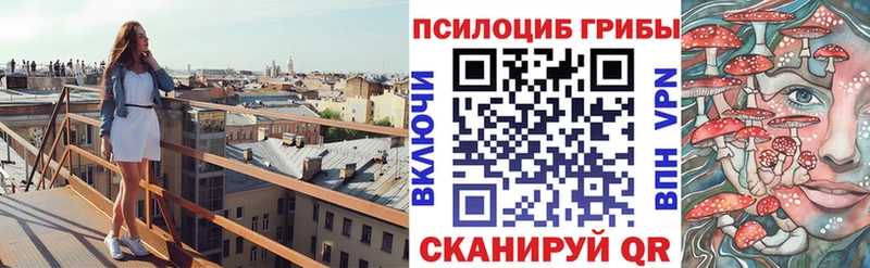 закладки  Юрьевец  Псилоцибиновые грибы мухоморы 